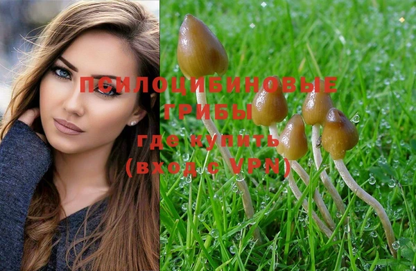 mdpv Верхний Тагил