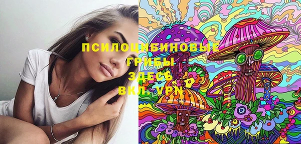 амфетамин Горнозаводск