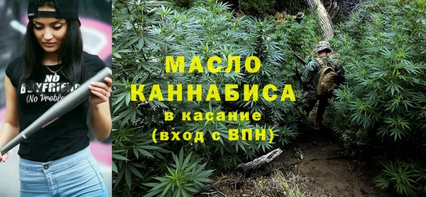 МДПВ Туринск