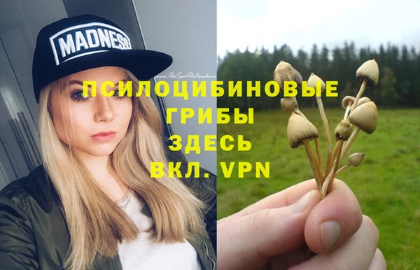 mdpv Верхний Тагил