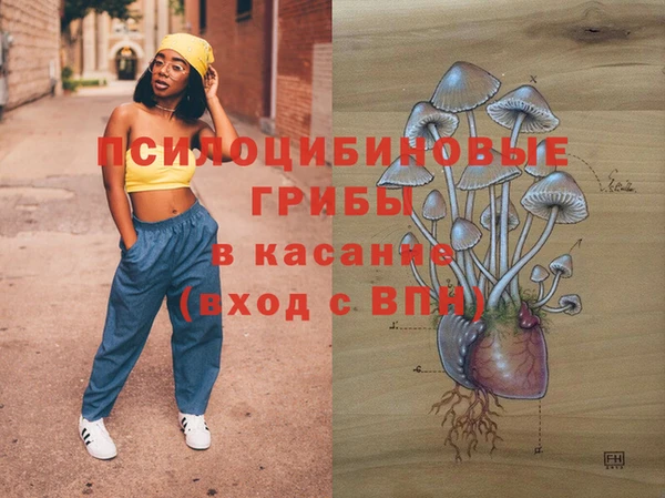 mdpv Верхний Тагил